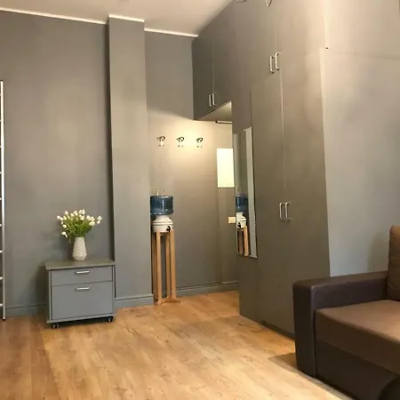 Loft - Studio Of Apartment *
